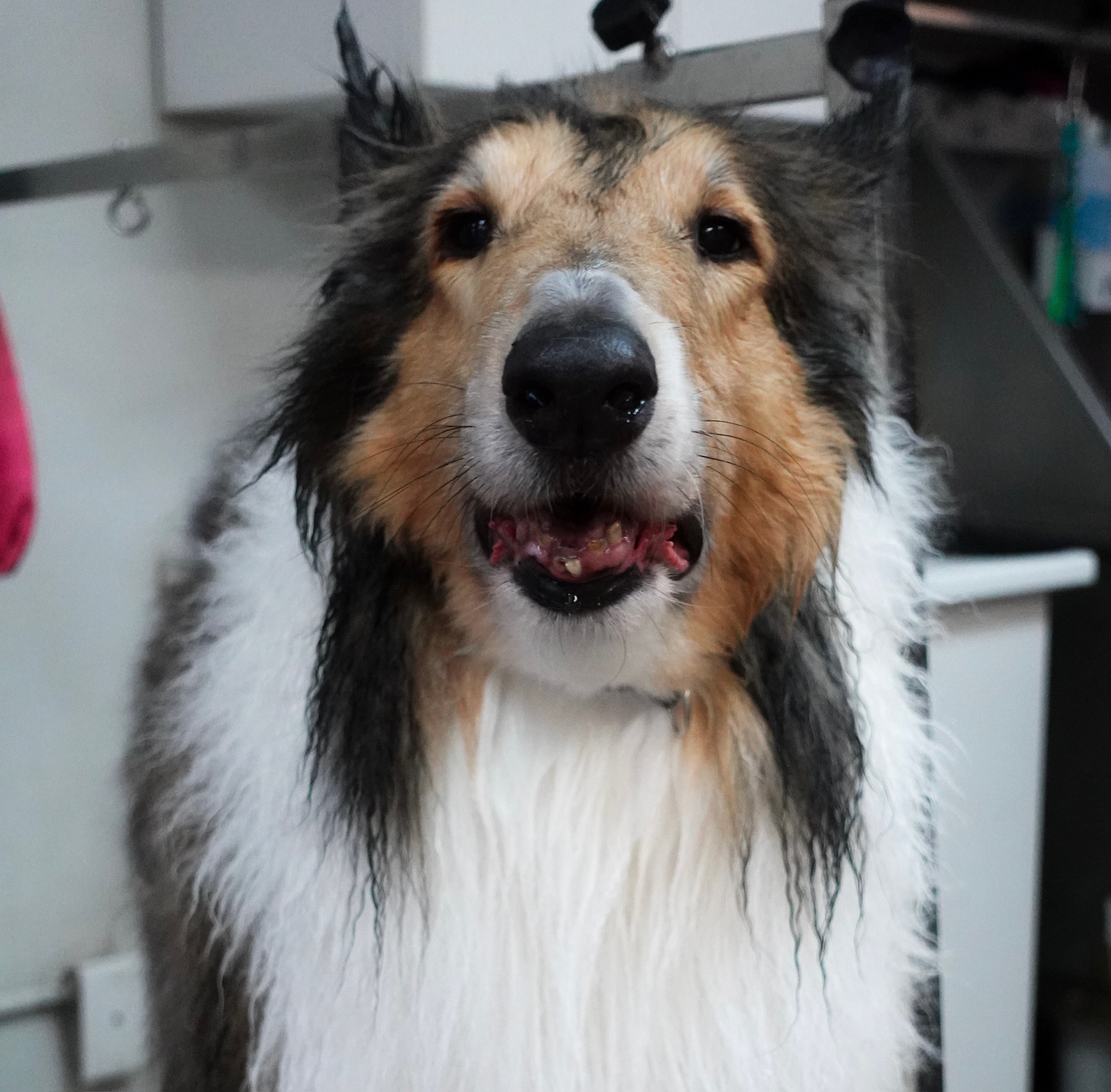 What Is a Hydrobath?